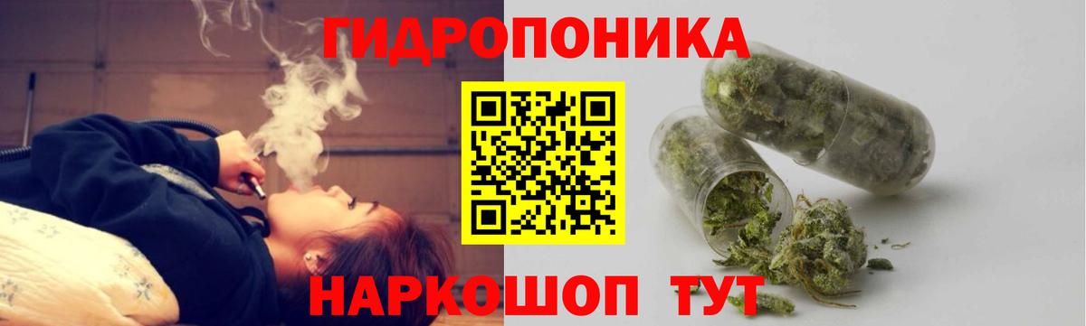 ГАШ Мирный